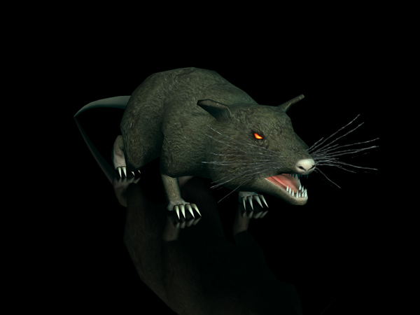 Giant Rat